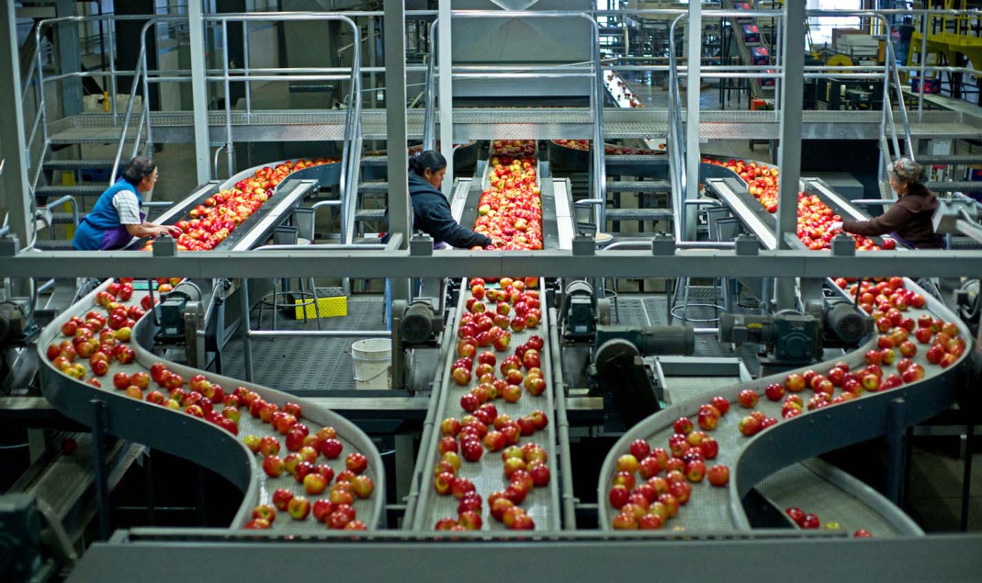 Bacatac e Dyna Fog ULV Solution são usados para a descontaminação e controle de pragas nas áreas de produção de alimentos, casas de empacotamento e frigoríficos.